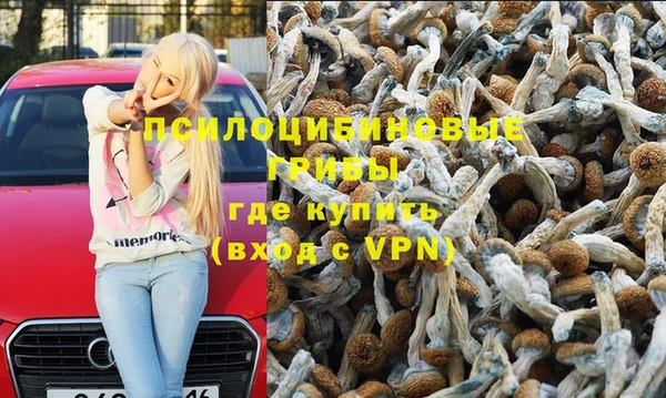 гидропоника Каменск-Шахтинский