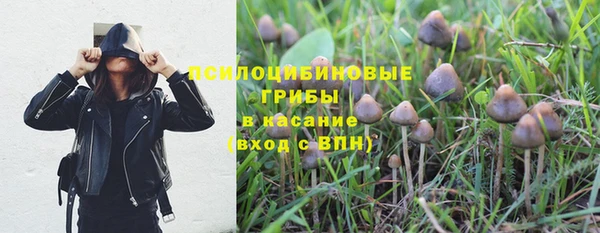 гидропоника Каменск-Шахтинский