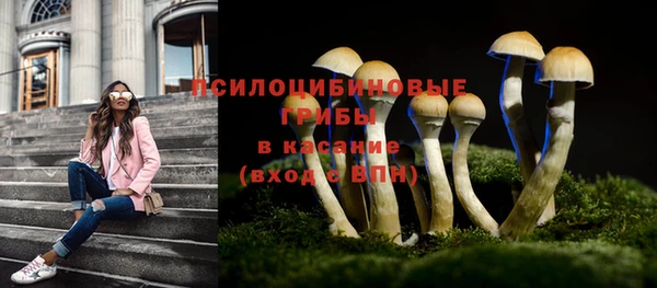 мдма Каменка